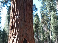 Yosemite OuterLoopTrail-2 : 2013 - California