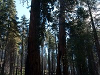 Yosemite OuterLoopTrail-4 : 2013 - California