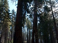 Yosemite OuterLoopTrail-5 : 2013 - California