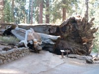 Yosemite OuterLoopTrail-6-1 : 2013 - California