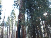 Yosemite OuterLoopTrail-6 : 2013 - California