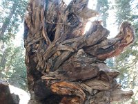 Yosemite OuterLoopTrail-8 : 2013 - California