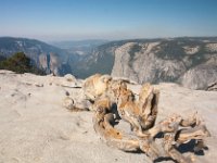 Yosemite SentinelDomeTrail-19 : 2013 - California