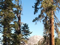 Yosemite SentinelDomeTrail-2 : 2013 - California