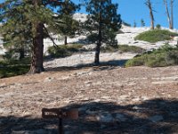 Yosemite SentinelDomeTrail-5 : 2013 - California