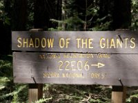 Yosemite ShadowGiantsTrail-5 : 2013 - California