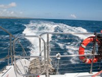 2015 Hawaii CaptAndy-02