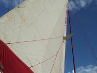 2015 Hawaii CaptAndy-37