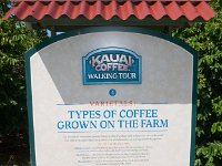 2015 Hawaii KauiCoffee-18