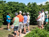 2015 Hawaii KauiCoffee-19