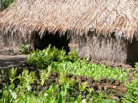 2015 Hawaii KamokilaVillage-11