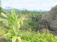 2015 Hawaii OpaekaaFalls-01
