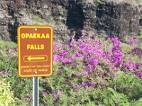 2015 Hawaii OpaekaaFalls-05