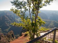 2015 Hawaii WaimeaCanyon-09