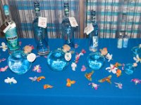 2015 Hawaii OceanVodka-05