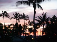 2015 Hawaii Maui WhalersMuseum-11