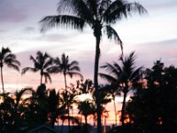2015 Hawaii Maui WhalersMuseum-12