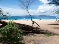 2015 Hawaii Maui MakenaBeach-3