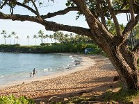 2015 Hawaii Virgil 0012