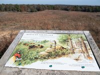 2016 Kentucky 0017