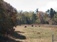 2016 Kentucky 0020