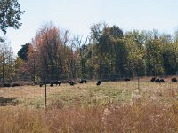 2016 Kentucky 0021