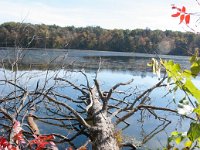2016 Kentucky 0026