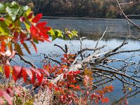 2016 Kentucky 0027