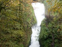 2016 BridalVeilViewpoint-03 : 2016 - Portland Oregon, Perry Family, United States, Oregon, Hillsboro