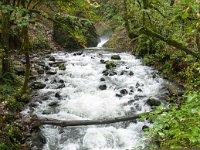 2016 BridalVeilViewpoint-09 : 2016 - Portland Oregon, Perry Family, United States, Oregon, Hillsboro