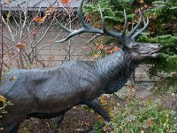 2016 MtStHelens-06 : 2016 - Portland Oregon, Perry Family, United States, Oregon, Hillsboro