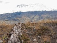 2016 MtStHelens-14 : 2016 - Portland Oregon, Perry Family, United States, Oregon, Hillsboro