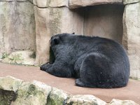 2016 PortlandZoo-05 : 2016 - Portland Oregon, Perry Family, United States, Oregon, Hillsboro