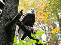 2016 PortlandZoo-10 : 2016 - Portland Oregon, Perry Family, United States, Oregon, Hillsboro