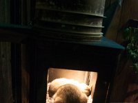 2016 PortlandZoo-13 : 2016 - Portland Oregon, Perry Family, United States, Oregon, Hillsboro