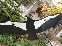 2016 PortlandZoo-17 : 2016 - Portland Oregon, Perry Family, United States, Oregon, Hillsboro