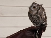 2016 PortlandZoo-18 : 2016 - Portland Oregon, Perry Family, United States, Oregon, Hillsboro