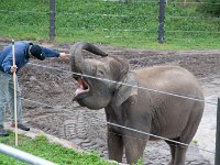 2016 PortlandZoo-25 : 2016 - Portland Oregon, Perry Family, United States, Oregon, Hillsboro