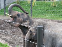 2016 PortlandZoo-26 : 2016 - Portland Oregon, Perry Family, United States, Oregon, Hillsboro