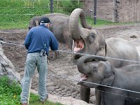 2016 PortlandZoo-27 : 2016 - Portland Oregon, Perry Family, United States, Oregon, Hillsboro
