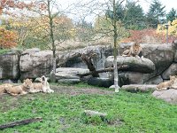 2016 PortlandZoo-36 : 2016 - Portland Oregon, Perry Family, United States, Oregon, Hillsboro