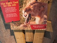 2016 PortlandZoo-38 : 2016 - Portland Oregon, Perry Family, United States, Oregon, Hillsboro