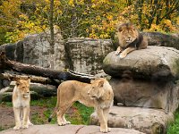 2016 PortlandZoo-41 : 2016 - Portland Oregon, Perry Family, United States, Oregon, Hillsboro