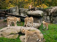 2016 PortlandZoo-42 : 2016 - Portland Oregon, Perry Family, United States, Oregon, Hillsboro