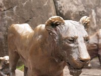 2016 PortlandZoo-43 : 2016 - Portland Oregon, Perry Family, United States, Oregon, Hillsboro