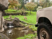 2016 PortlandZoo-51 : 2016 - Portland Oregon, Perry Family, United States, Oregon, Hillsboro