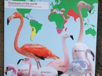 2016 PortlandZoo-54 : 2016 - Portland Oregon, Perry Family, United States, Oregon, Hillsboro