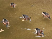 2016 PortlandZoo-55 : 2016 - Portland Oregon, Perry Family, United States, Oregon, Hillsboro