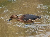 2016 PortlandZoo-56 : 2016 - Portland Oregon, Perry Family, United States, Oregon, Hillsboro