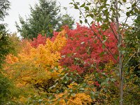 2016 PortlandZoo-61 : United States, Oregon, Hillsboro